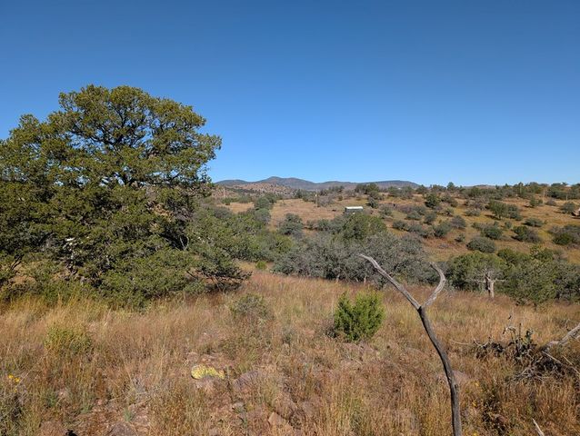 206 Cedar Trail, Fort Davis, TX 79734