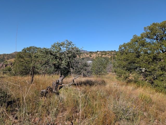 206 Cedar Trail, Fort Davis, TX 79734