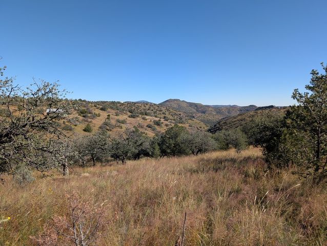 206 Cedar Trail, Fort Davis, TX 79734