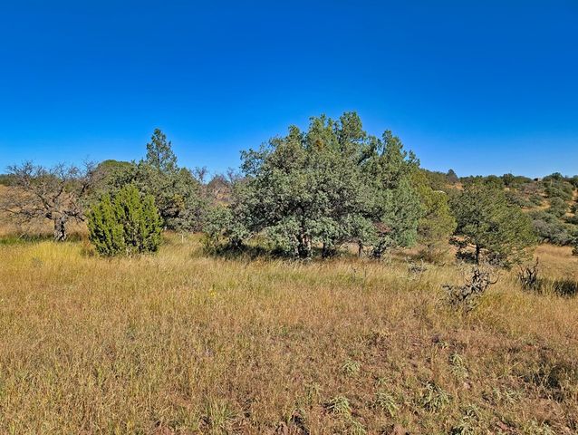 206 Cedar Trail, Fort Davis, TX 79734