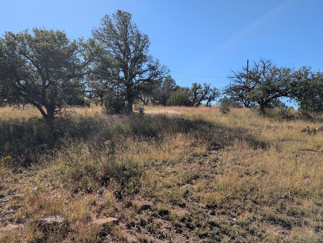 206 Cedar Trail, Fort Davis, TX 79734