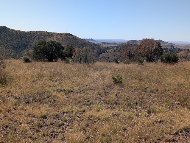206 Cedar Trail, Fort Davis, TX 79734