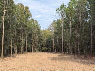0 Danner Road, Wilmer, AL 36587