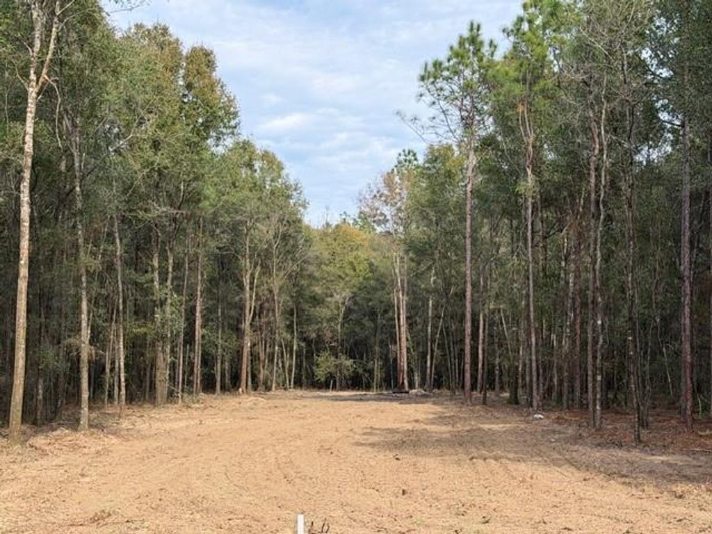0 Danner Road, Wilmer, AL 36587 — exterior