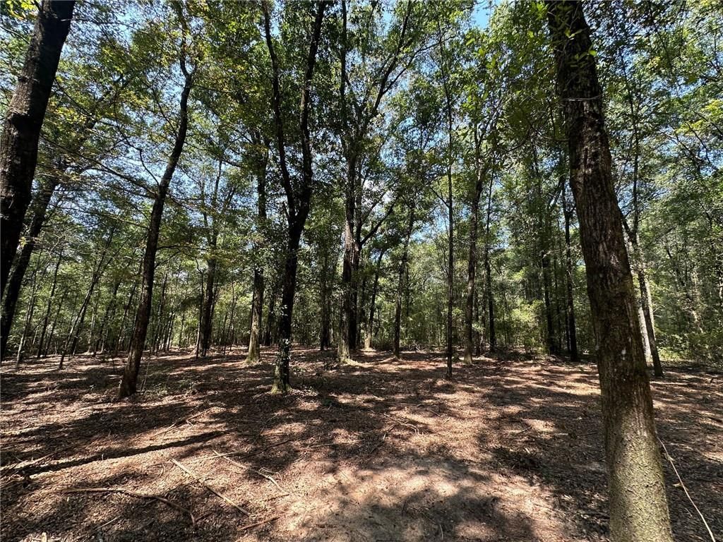 0 Danner Road, Wilmer, AL 36587 — photo 2