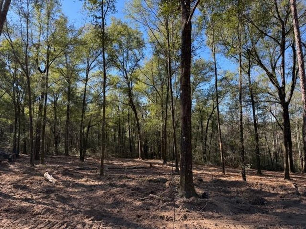 0 Danner Road, Wilmer, AL 36587 — photo 3