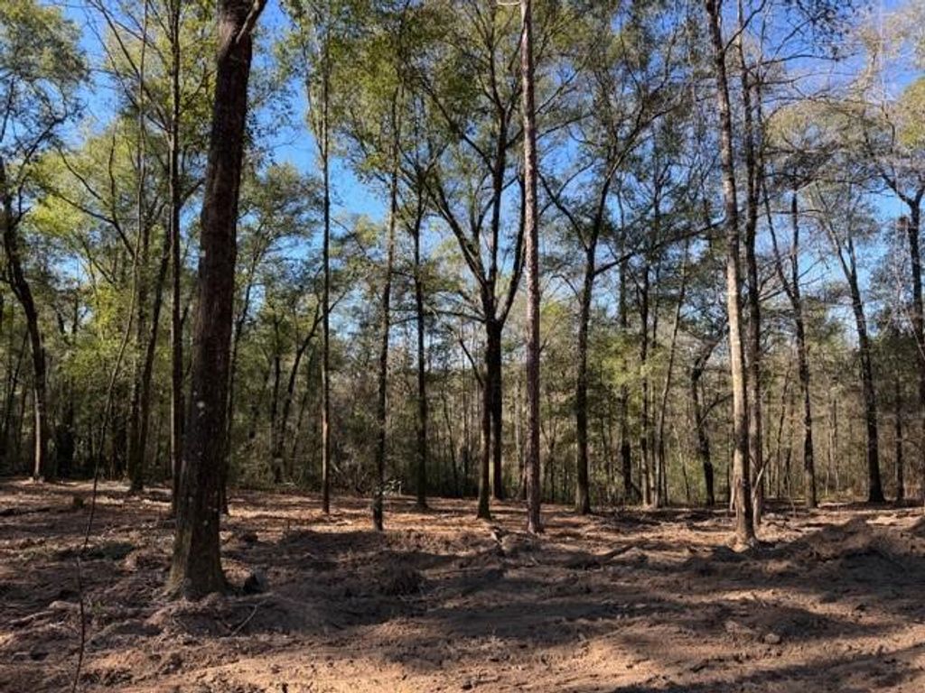 0 Danner Road, Wilmer, AL 36587 — photo 4