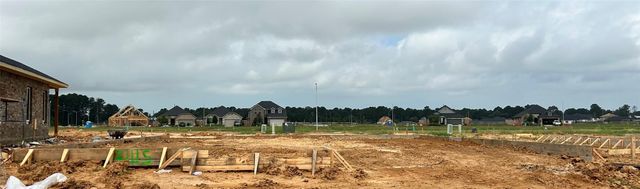21115 Baglio Oak Court, Tomball, TX 77377