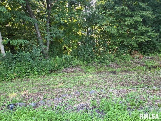 704 BAYSIDE Circle, Germantown Hills, IL 61548