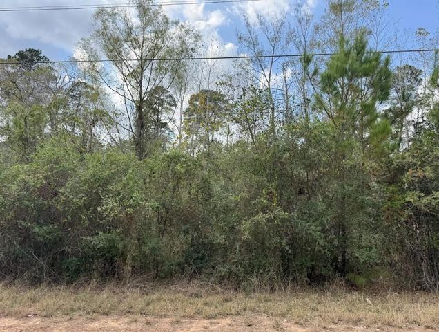Lot 233 MAKAHA DR, Bastrop, TX 78602