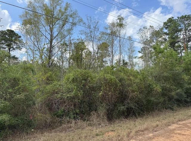 Lot 233 MAKAHA DR, Bastrop, TX 78602