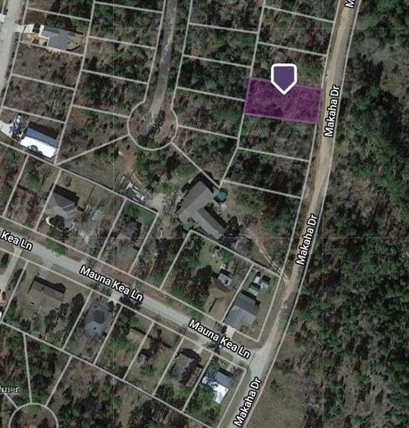 Lot 233 MAKAHA DR, Bastrop, TX 78602