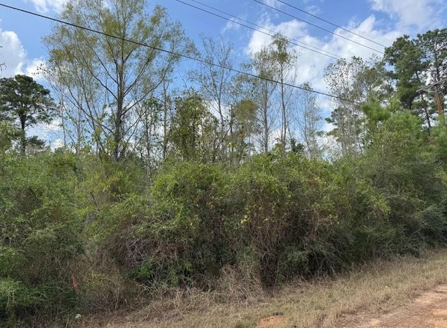 Lot 233 MAKAHA DR, Bastrop, TX 78602