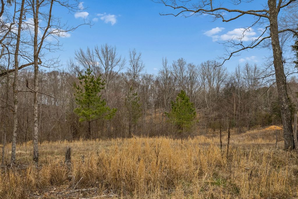 0 Mosley Ferry Rd, Ashland City, TN 37015