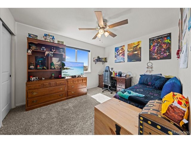 949 Ashbrook Dr, Windsor, CO 80550