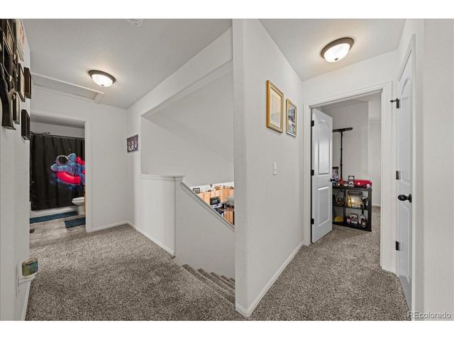 949 Ashbrook Dr, Windsor, CO 80550