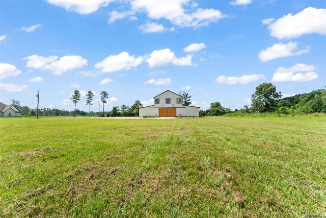 18042 Critter Cove Ln, Livingston, LA 70754