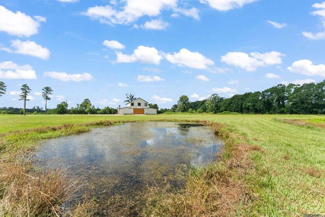 18042 Critter Cove Ln, Livingston, LA 70754