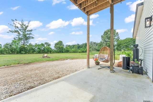 18042 Critter Cove Ln, Livingston, LA 70754