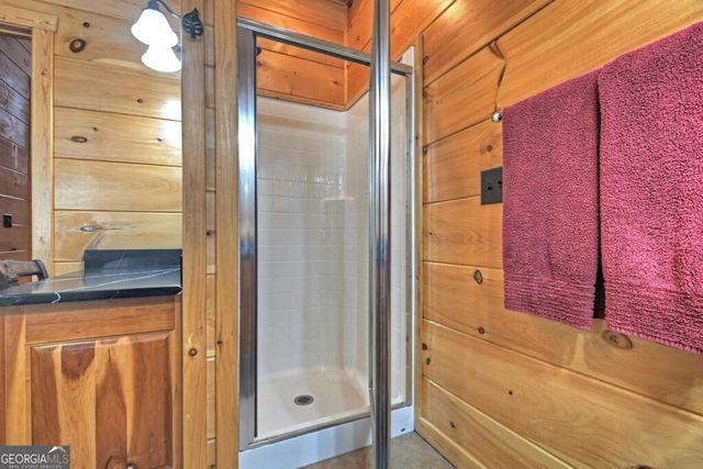 390 Twin Creeks, Blue Ridge, GA 30513