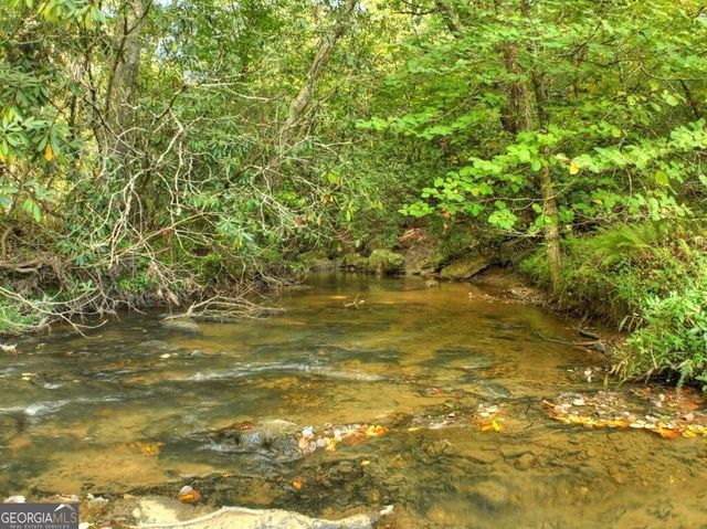 390 Twin Creeks, Blue Ridge, GA 30513