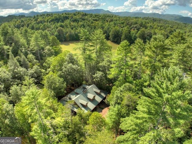 390 Twin Creeks, Blue Ridge, GA 30513