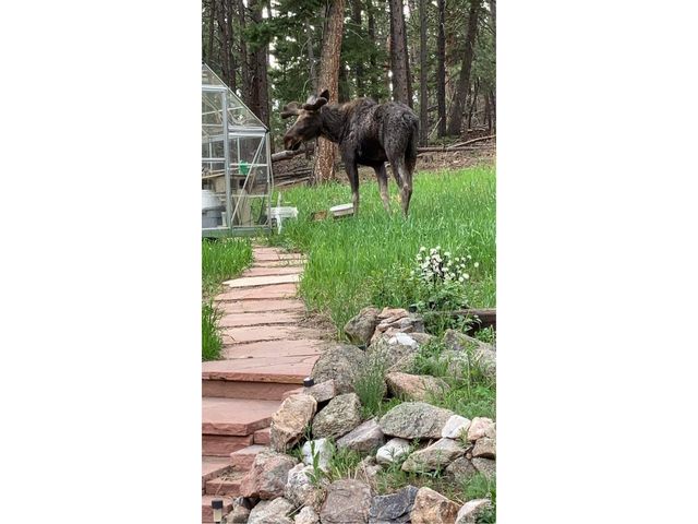 11988 Begole Cir, Golden, CO 80403