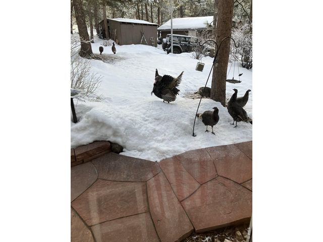 11988 Begole Cir, Golden, CO 80403