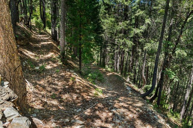 200 Craycroft Ridge Rd, Downieville, CA 95936