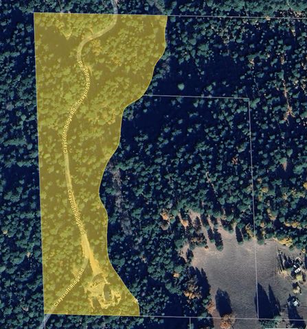 200 Craycroft Ridge Rd, Downieville, CA 95936