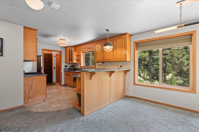 200 Craycroft Ridge Rd, Downieville, CA 95936