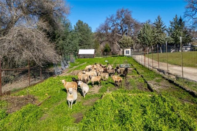535 Calf Canyon Highway, Creston, CA 93432