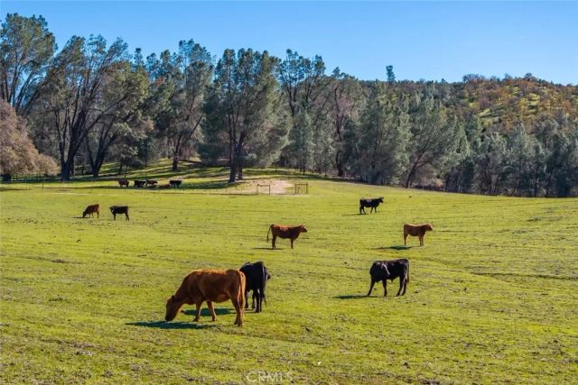 535 Calf Canyon Highway, Creston, CA 93432