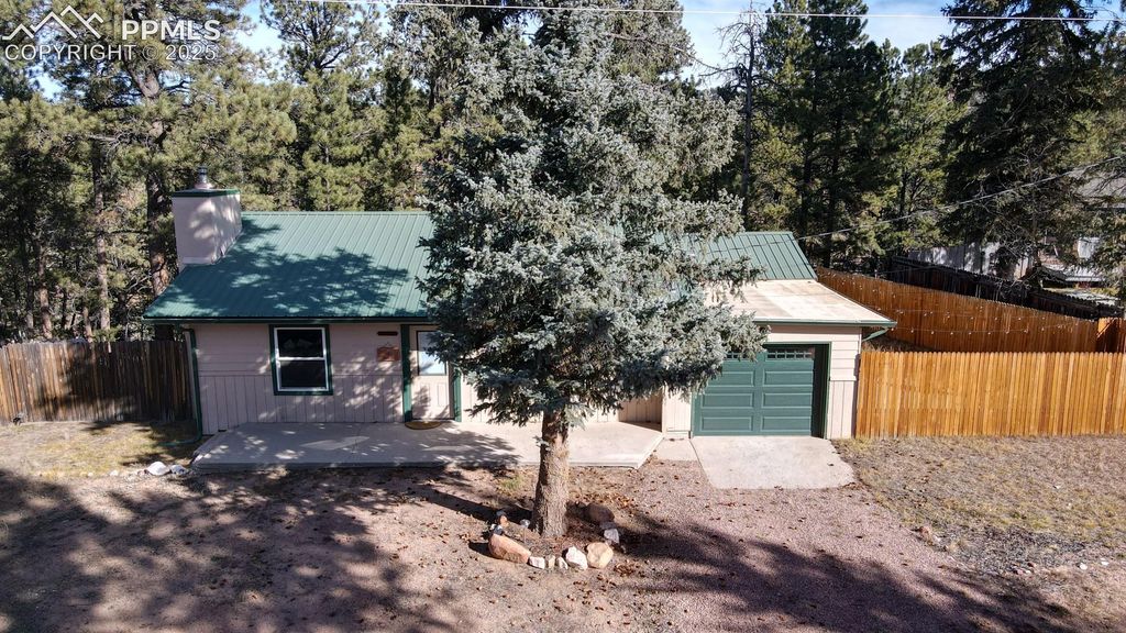 281 Mesa Drive, Florissant, CO 80816 — photo 4