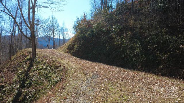 97 Junebug Trail, Waynesville, NC 28785