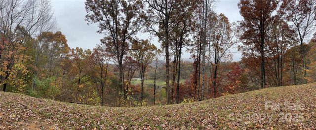 97 Junebug Trail, Waynesville, NC 28785