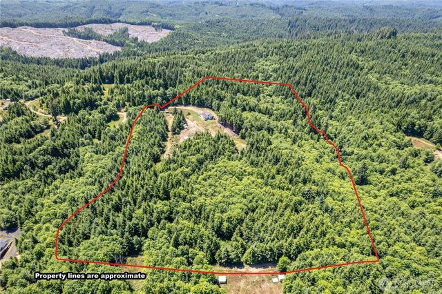 327 Parpala Road, Naselle, WA 98638