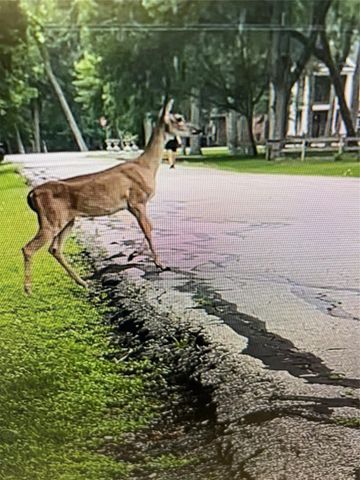 3618 Aspenwood Drive, Richmond, TX 77406