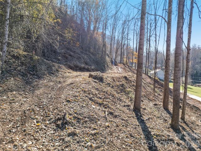 Tract 2: Lot 3 Fisher Creek Road, Sylva, NC 28779