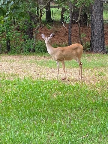 6018 Sugar Bush Drive, Magnolia, TX 77354