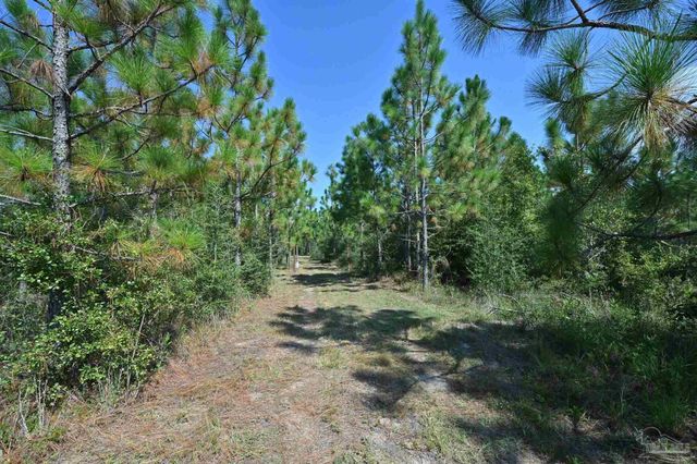 2597 Creek Chase Trl, Pace, FL 32571