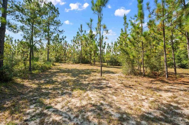2597 Creek Chase Trl, Pace, FL 32571