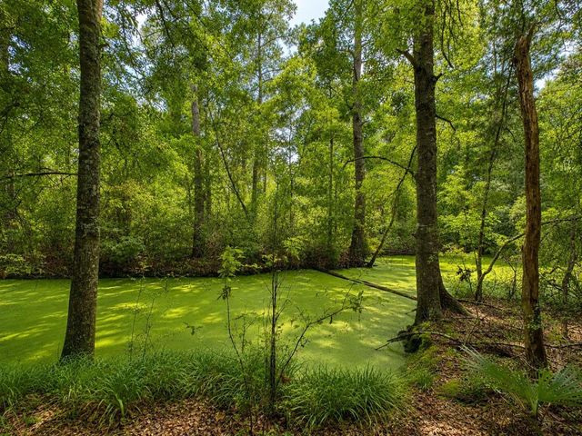 435 County Road 3310, Cleveland, TX 77327