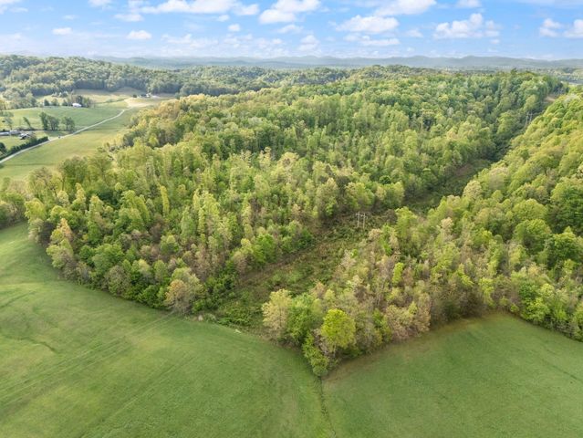 827 Pine Hill Brock Road, London, KY 40741