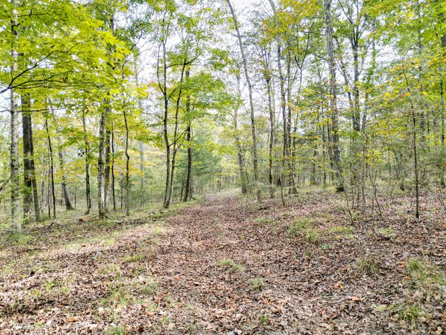 0 Luke Moser Rd, Columbia, TN 38401
