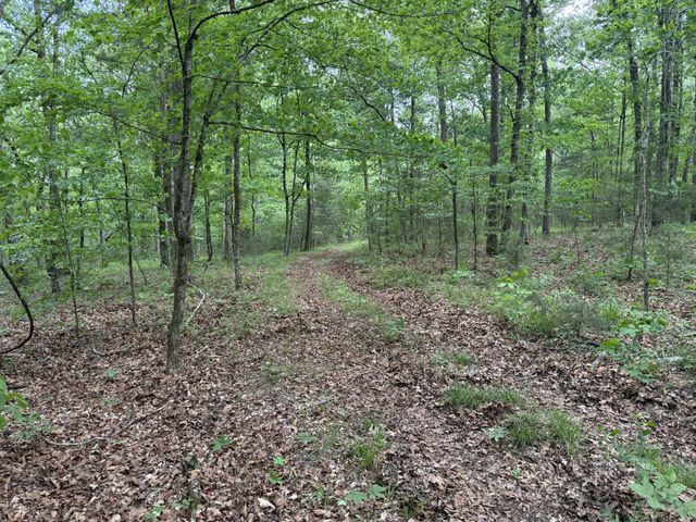 0 Luke Moser Rd, Columbia, TN 38401
