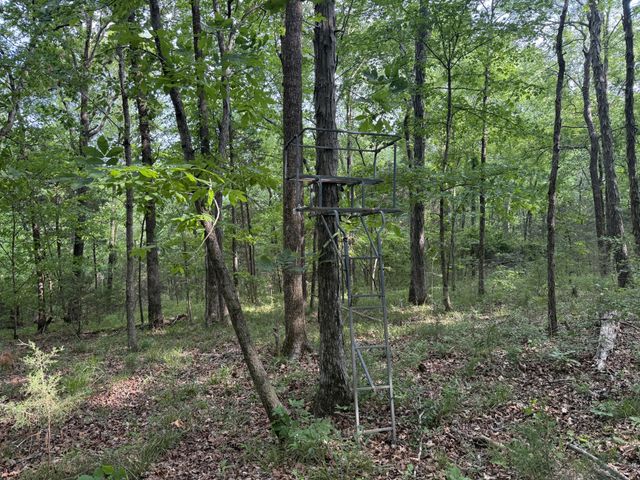 0 Luke Moser Rd, Columbia, TN 38401