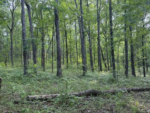 0 Luke Moser Rd, Columbia, TN 38401