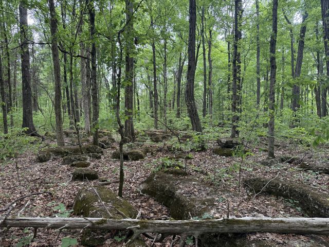 0 Luke Moser Rd, Columbia, TN 38401