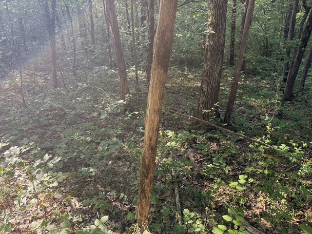 0 Luke Moser Rd, Columbia, TN 38401